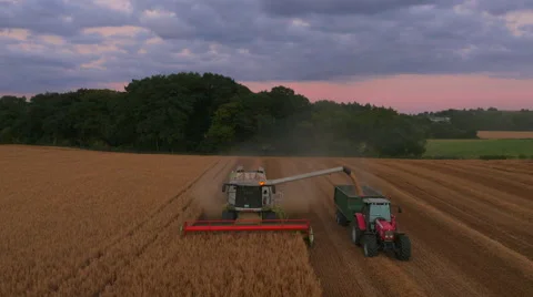 Claas Combine Harvester unloading at Sunset, UK Stock Footage 62198079