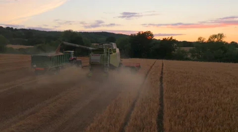 Claas Combine Harvester Unloading at Sunset, UK Stock Footage 62198815