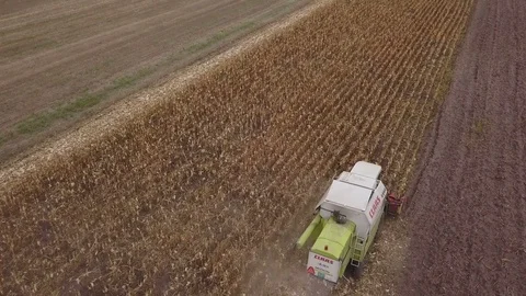 Claas combine harvester working on corn ... | Stock Video | Pond5