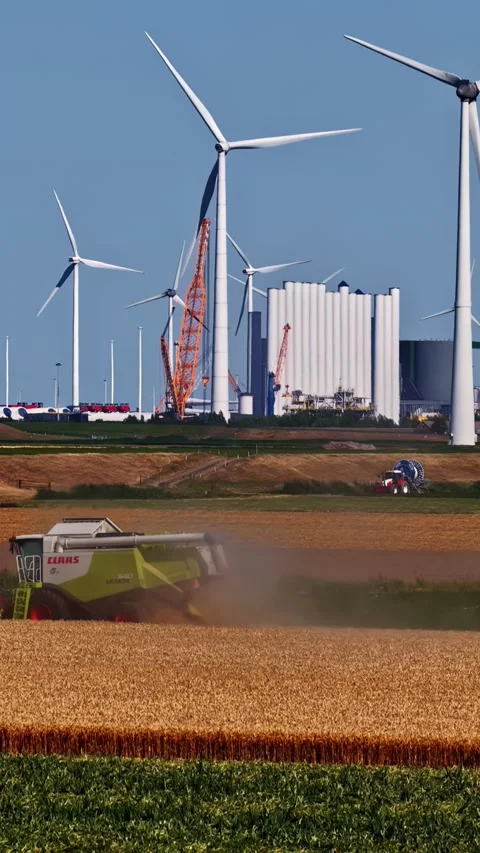 CLAAS Combine harvester working in a wheat field near the Eemshaven industrial Stock Footage 345500867