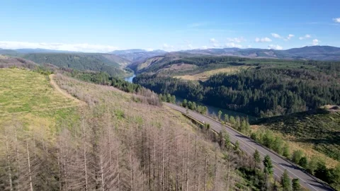 Clackamas River Aerial. Stock Footage 230052428