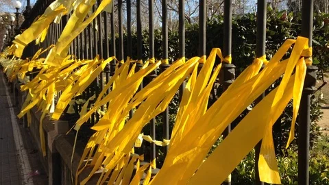 Claiming yellow ties Stock Footage 91967715