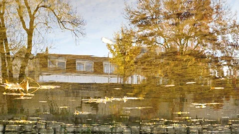 Clain river in Poitiers during the fall. Stock Footage 99754612