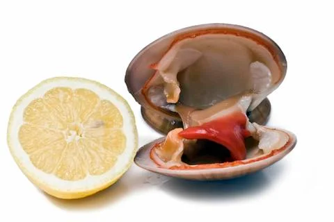 Clam and lemon. Stock Photos