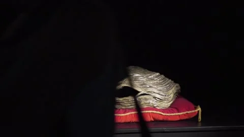 Clam Animatronic Stock Footage 133254038