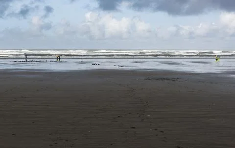 Clam Dig Stock Photos