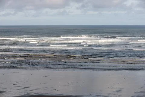 Clam Dig Stock Photos