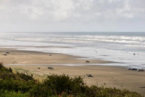 Clam Dig Stock Photos