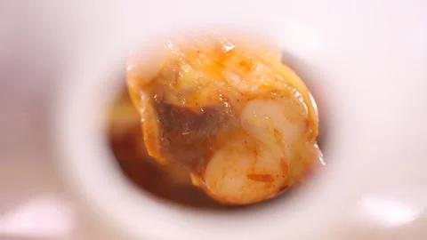 Clam meat clam meat (2) Stock Footage 202234663