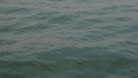 Clam motion sea wave surface texture. Stock-Footage 125566608