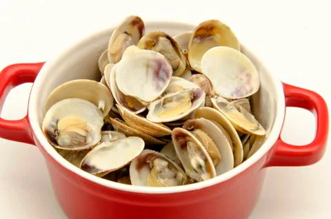 Clam Stock Photos