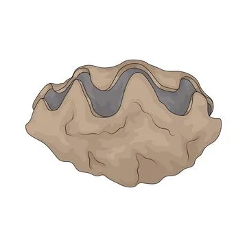 Clam Shell illustration Stock Illustration