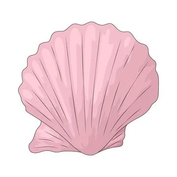 Clam Shell illustration Stock Illustration