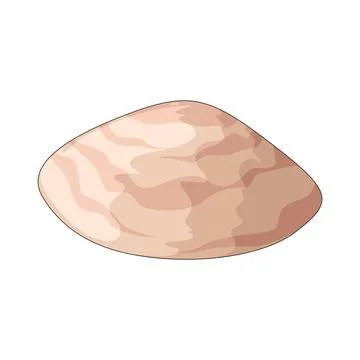Clam shell illustration Stock Illustration