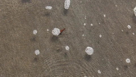 Clam shell on a sandy beach in the waves. Stock Footage 138654476