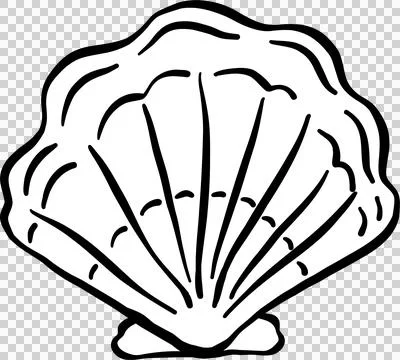 Clam shell seashell doodle outline, fisherman aesthetic Stock Illustration