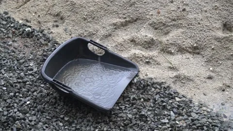 Clam-shell shaped basket and falling rain. 库存影片 135897863