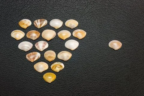 Clam Shell Vacancy Stock Photos