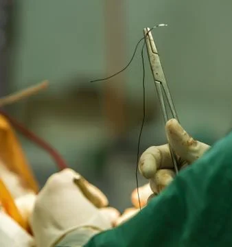 Clamp with a needle Stock Photos