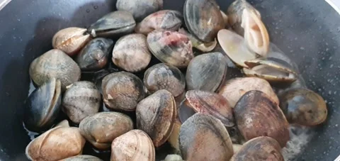 Clams being cooked Stock Footage 233261996