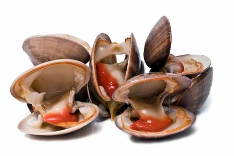 Clams to eat. Stock Photos