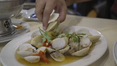 Clams Stock Footage