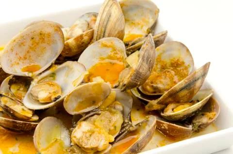 Clams Stock Photos