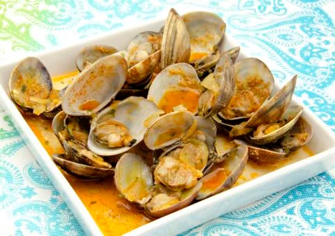 Clams Stock Photos