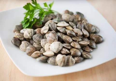 Clams Stock Photos