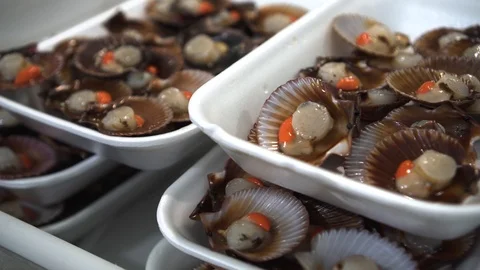 Clams Shellfish in a white boxes Fresh sea food Open market products  Video stock 111791692