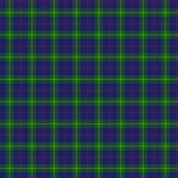 Clan Boyle Tartan 스톡 일러스트
