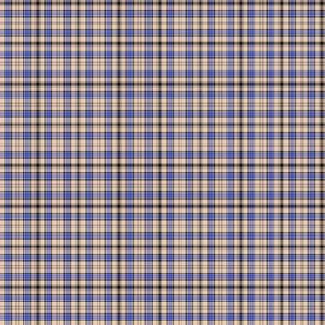 Clan Hannay Tartan 스톡 일러스트