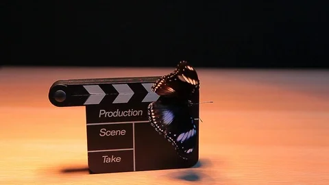 Clapper board butterfly table dark background hd footage Stock Footage 108216481