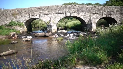 Clapper Bridge Postbridge Dartmoor England. Stock Footage 133499723