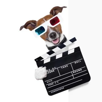 Clapper dog Foto stock