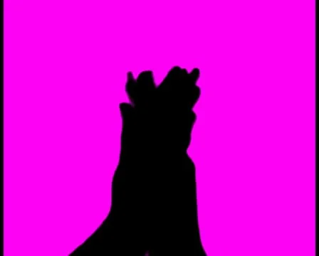 Clapping V2 - PAL Video stock 10754773