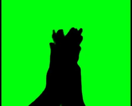 Clapping V4 - PAL Stock Footage 10754757