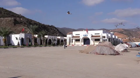 Clara iris 13 5 Stock Footage 122738518