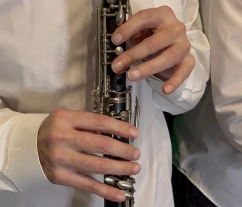 Clarinet clip Stock Footage 223405611