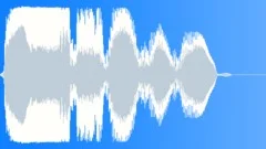 Clarinet Play Badly Squawk 06Sound Effect