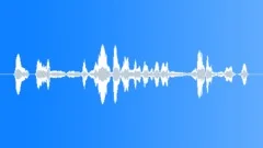 Clarinet playSound Effect