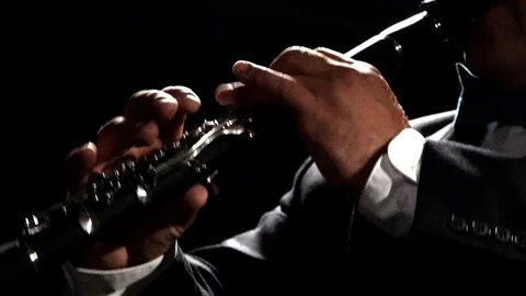 Clarinet Player Stock Footage