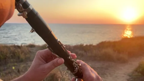 Clarinet Player with Sunset Over Calm Sea Stock Footage 284819251