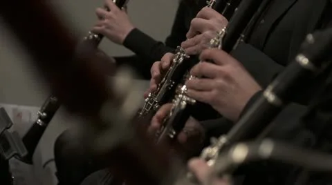 Clarinet players Stock Footage 21938770