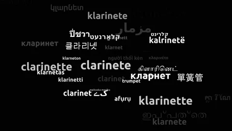 Clarinet Translated in 46 Worldwide Languages Endless Looping 3d Zooming Word Stockbeeldmateriaal 145196764