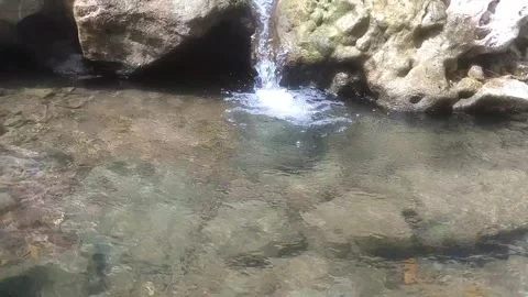 The Clarity of Mountain Stream Stockbeeldmateriaal 335061377
