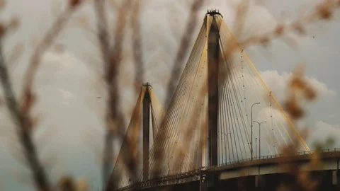 Clark Cable-Stayed Bridge with Foliage in Foreground 4K Stock Footage 92855801