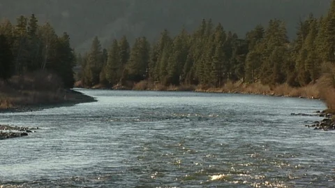 Clark Fork River, Montana Stock Footage 93816802