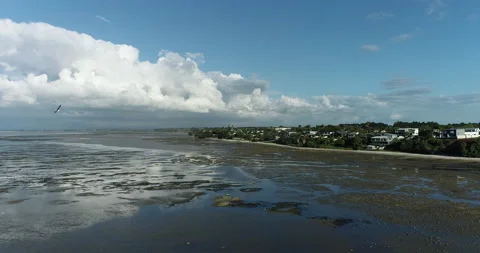 Clarks Beach Stock Footage 170164815