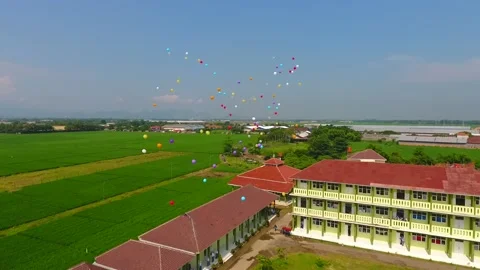 The class atmosphere in the middle of the rice fields is full of views of green Stock Footage 232184289